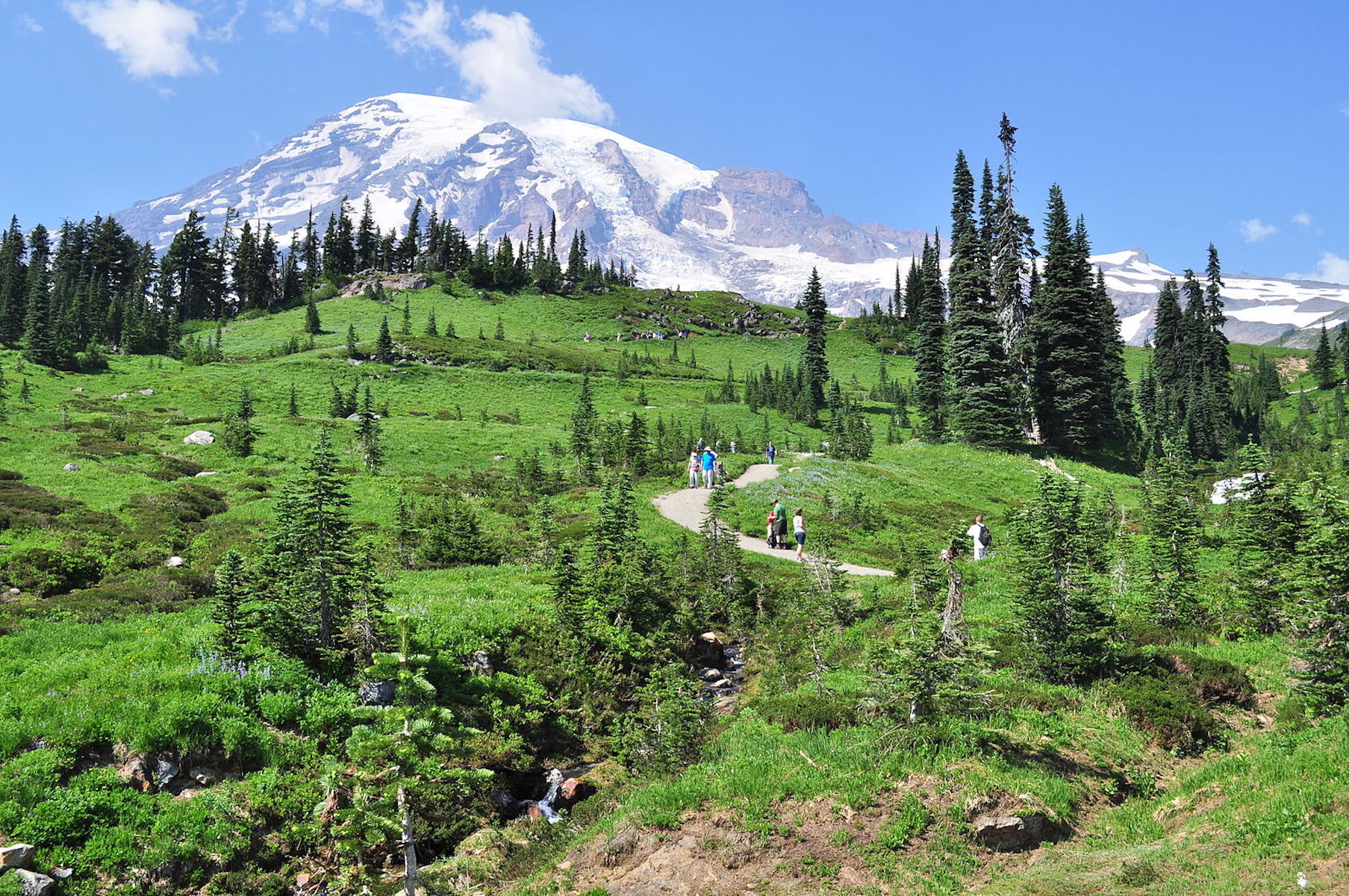 Tourists on Mt. Rainier's Dead Horse Creek Trail.