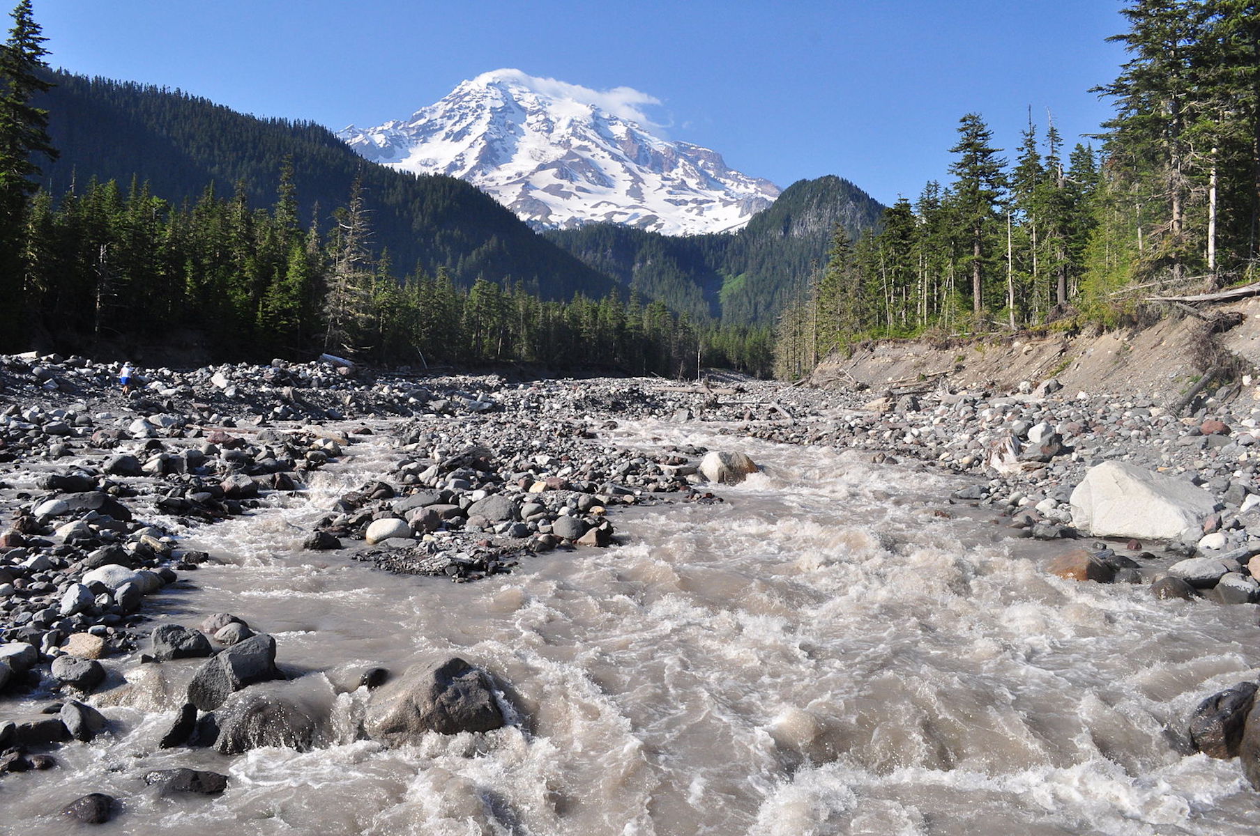 View of Mt. Rainier from Cougar Rock.